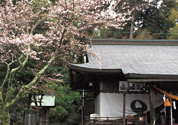 拝殿の屋根は、銅板葺、平入、正面1 間向拝付。