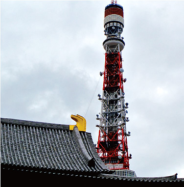 大殿のシビと東京タワー