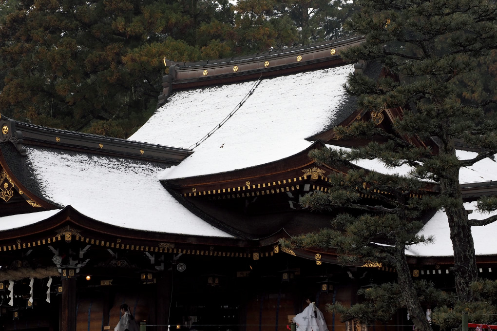 本殿は三間社流造で、屋根は檜皮葺き。