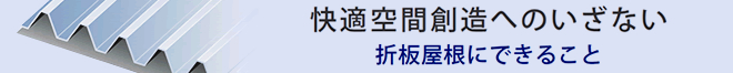 折板屋根にできること